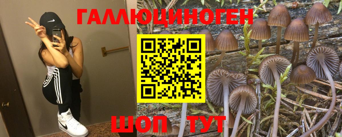 Галлюциногенные грибы мухоморы  Вход с VPN  Шатура 