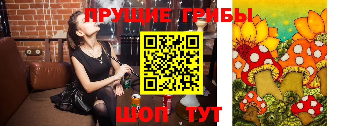 Псилоцибиновые грибы прущие грибы Шатура