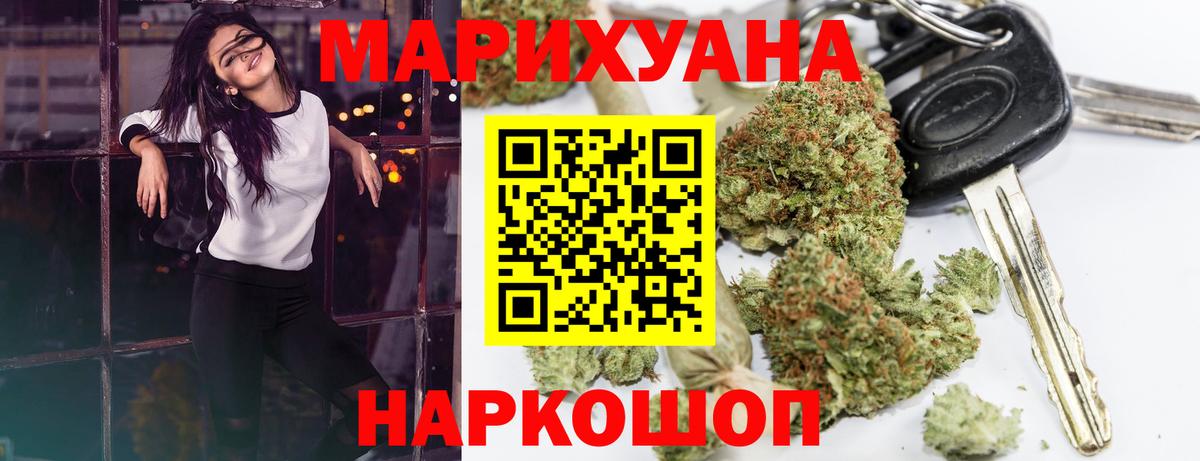 Марихуана сатива Шатура